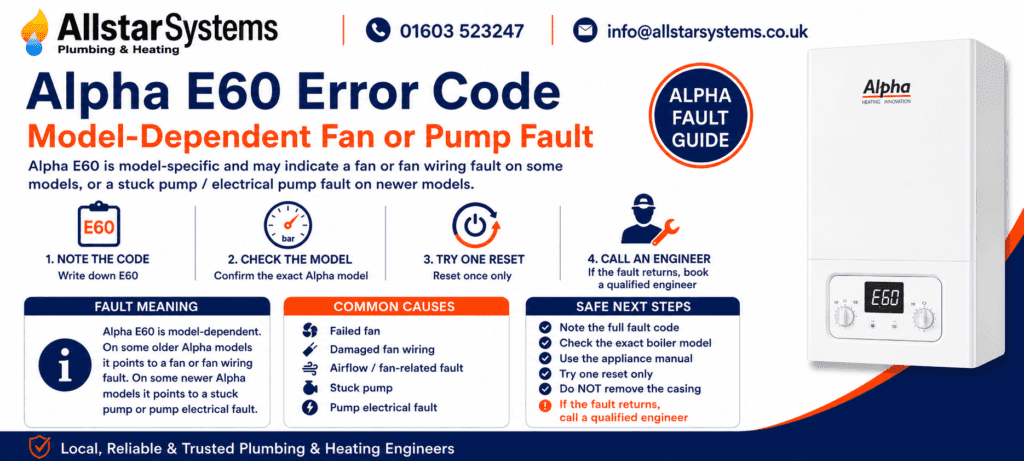 Alpha E60 error code guide explaining a model-dependent fan or pump fault, safe checks and engineer advice from Allstar Systems Plumbing & Heating.